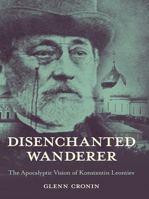cover image of Disenchanted Wanderer
